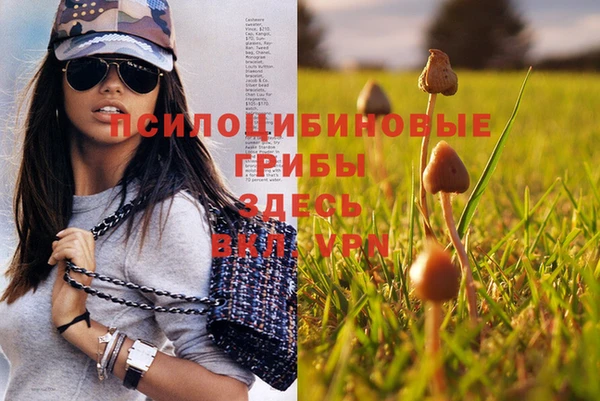 мяу мяу мука Белоозёрский