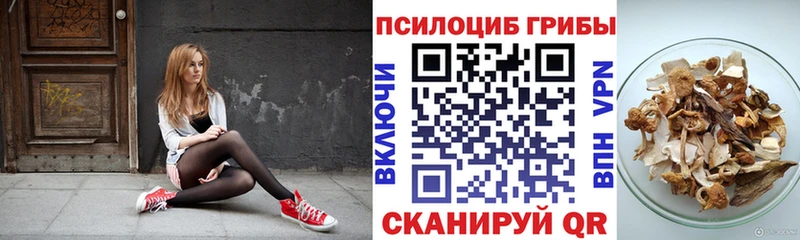 Галлюциногенные грибы Psilocybine cubensis  Кодинск 